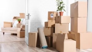 Right Packers and Movers Champapet