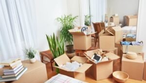 Right Packers and Movers Hayath Nagar